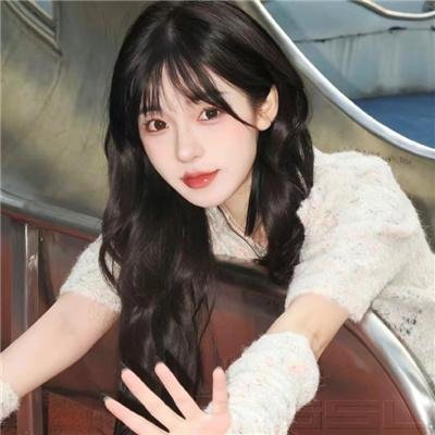 全面搜寻圣诞狗狗
